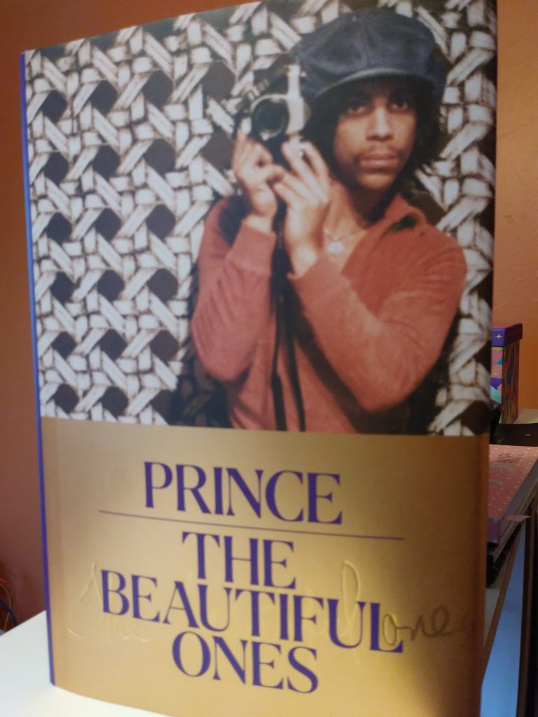 the beautiful ones novel the beautiful ones novel